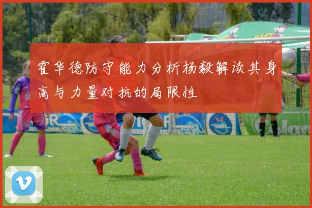 霍华德防守能力分析杨毅解读其身高与力量对抗的局限性