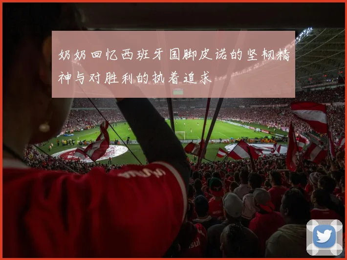 奶奶回忆西班牙国脚皮诺的坚韧精神与对胜利的执着追求