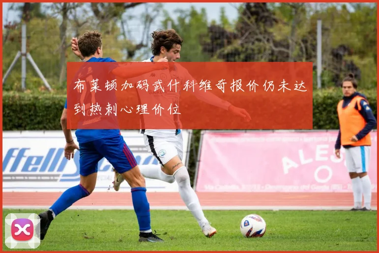 布莱顿加码武什科维奇报价仍未达到热刺心理价位