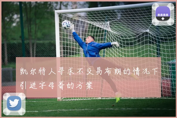 凯尔特人寻求不交易布朗的情况下引进字母哥的方案